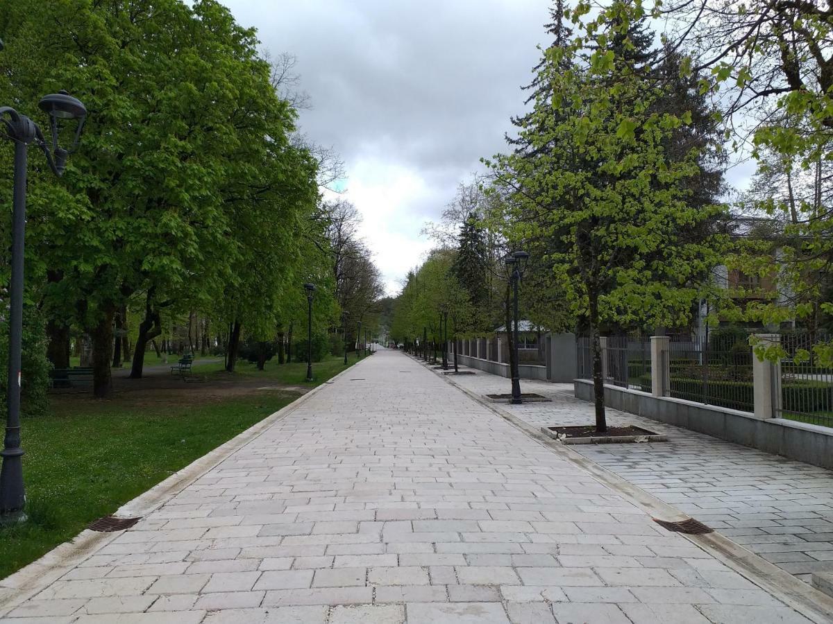 Ferienwohnung Apartman Donji Kraj Cetinje Exterior foto