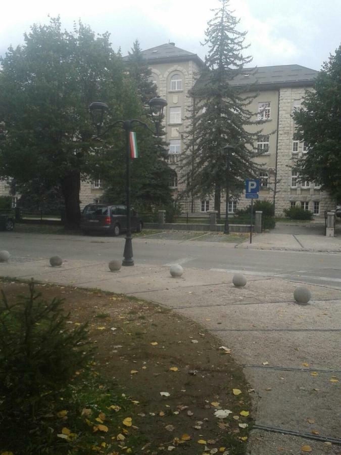 Ferienwohnung Apartman Donji Kraj Cetinje Exterior foto